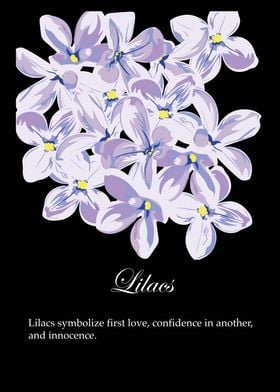 Lilacs poster