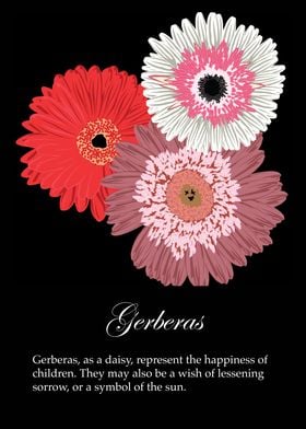 Gerberas poster