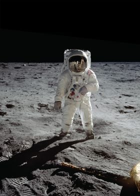 Apollo 11 Buzz on the Moon