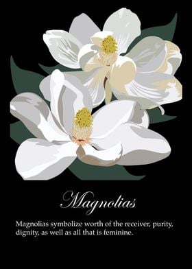 Magnolias poster