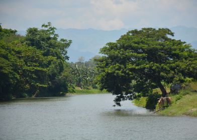 Bulatukan river Hagonoy DS