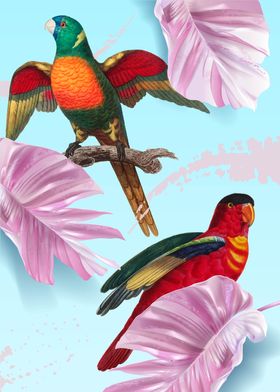 Tropical Birds 03