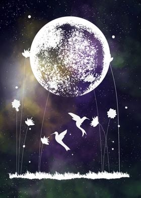 Space and Hummingbird