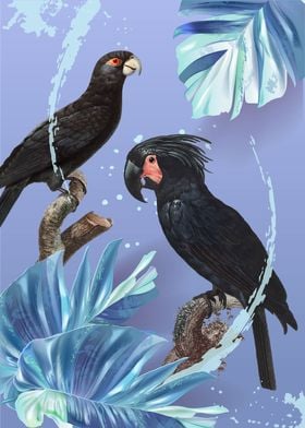Tropical Birds 02