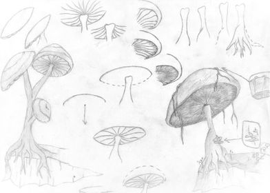 Mushroom Blueprint