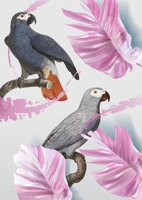 Tropical Birds 06