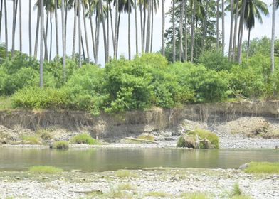 Bulatukan river 4 DavaoSur