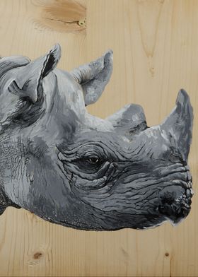 Rhino