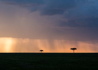 Savanna Sunset