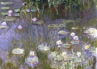 Water Lilies 1922