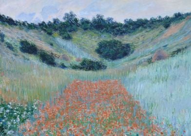 Poppy Field in a Hollow ne