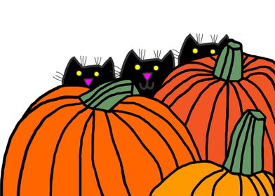 Cats in the Pumpkin Patch