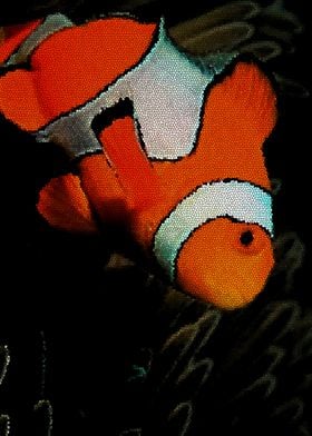 Clownfish dance