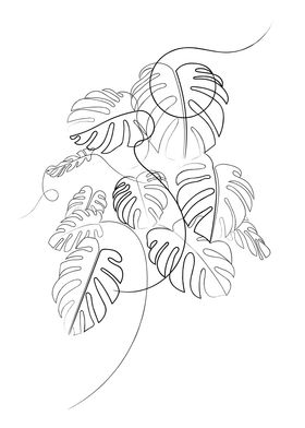 Cheese Plant Line Drawing