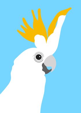 Cockatoo Bird