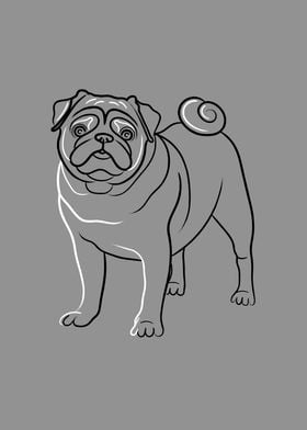 Pug Dog