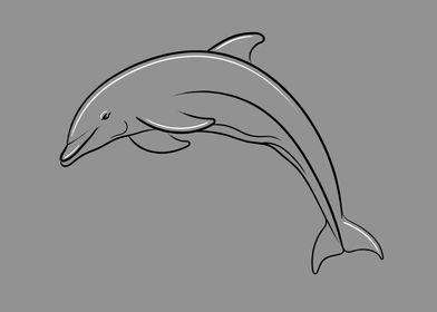 Jumping Dolphin