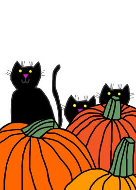 Black Cats and Pumpkins