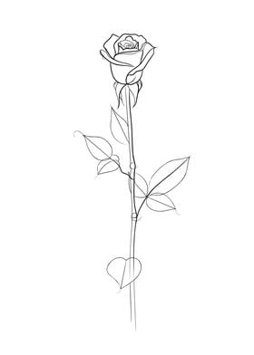 Single Rose Line Drawing