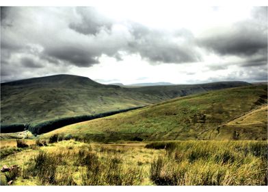 Scottish Moorland