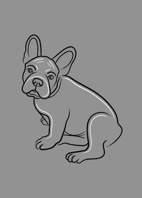 French Bull Terrier Dog