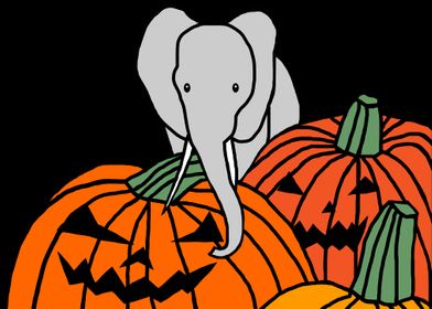 Elephant and the Pumpkins