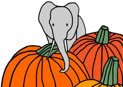 Elephant in Pumpkin Patch