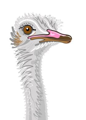 Emu Portrait