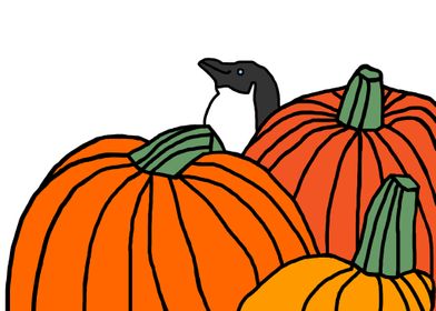 Penguin and Pumpkins