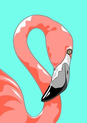 Flamingo Bird