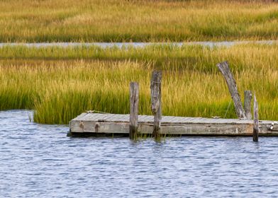 Dock in wetlands