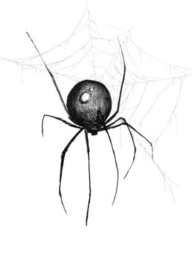 Spider Black Widow