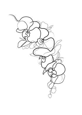 Orchid Flower Line Drawing