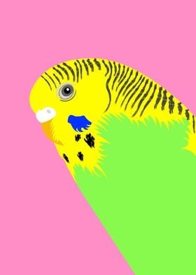 Green Budgie Portrait