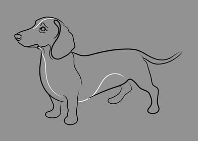 Dachshund Dog