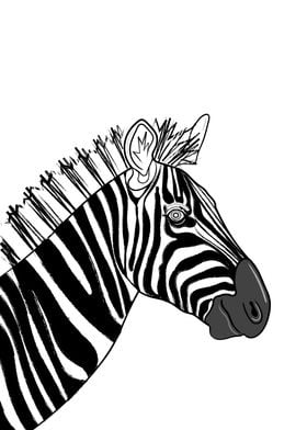 Monochrome Zebra Portrait