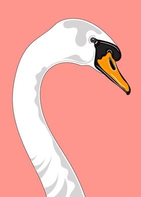 Swan Portrait Illustration