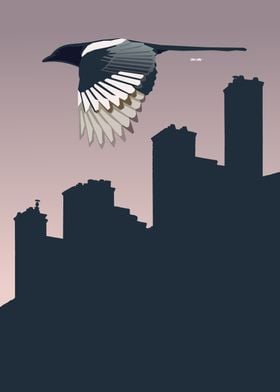 Bird Over City