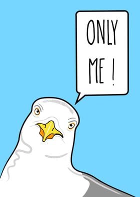 Only Me Seagull