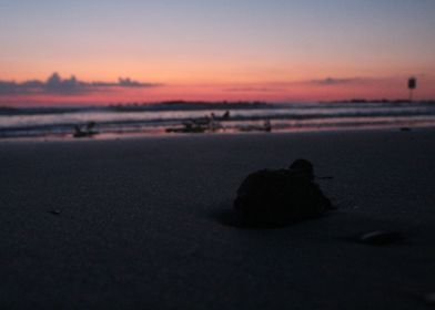 Stone on the shore