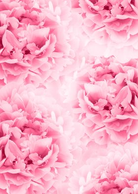 Flower Dream-preview-0