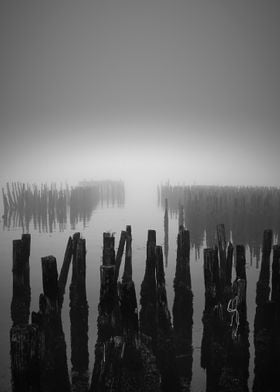 Ghost Pilings N2