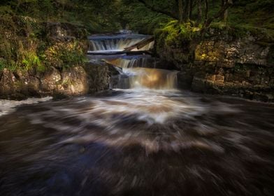 Horseshoe falls