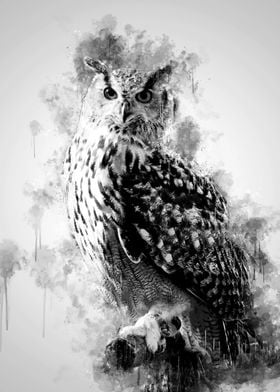 Owl on Branch BW