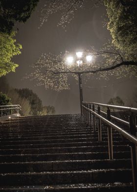 Tokyo Rainy night