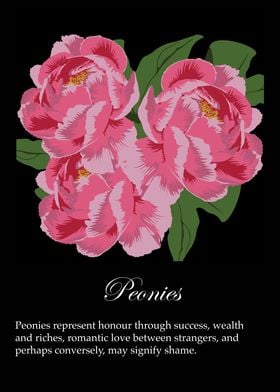 Peonies poster