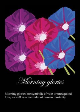 Morning glories poster