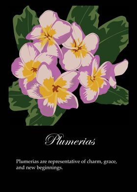 Plumerias poster