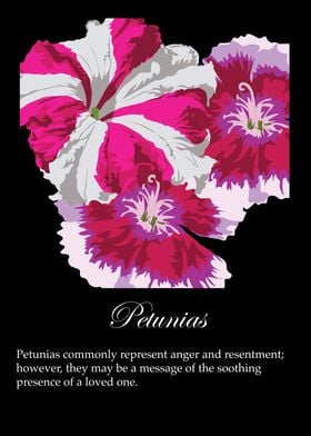 Petunias poster