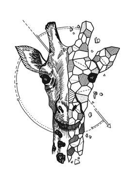 Aniometry Giraffe